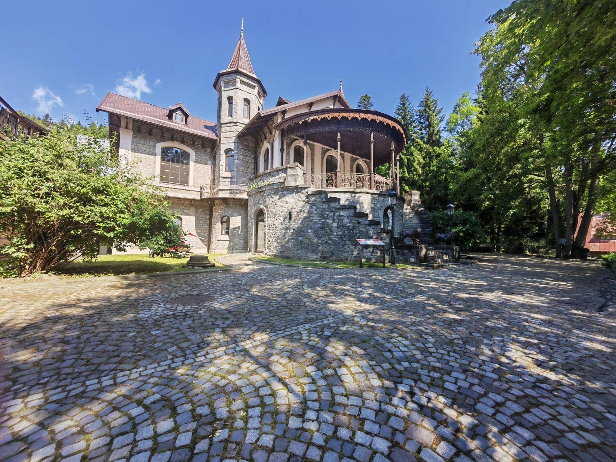 Guest house Castelul Stirbey 3*
